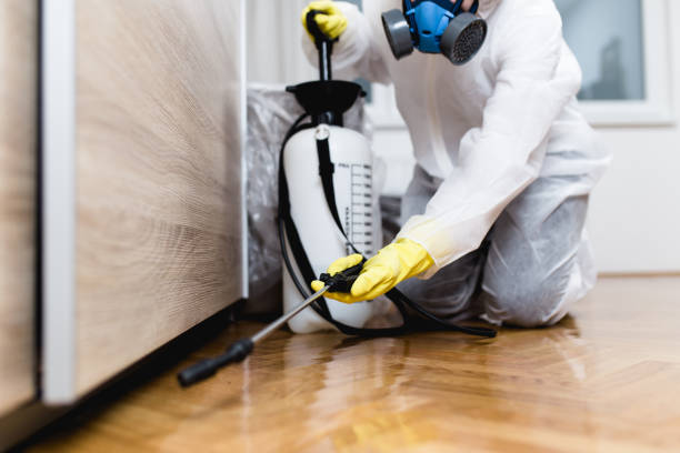 Best Best Pest Control Companies  in Inez, TX