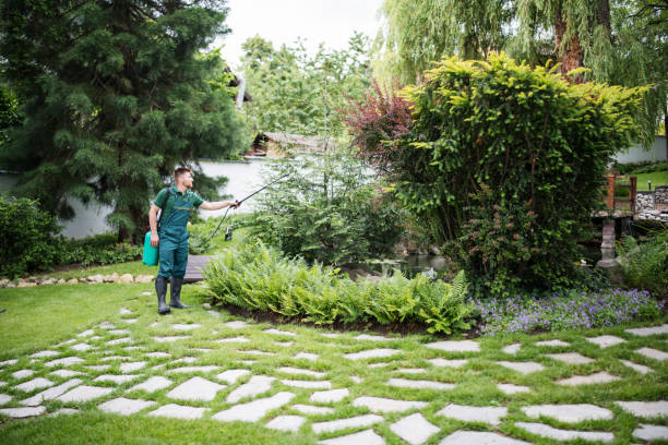 Best Best Pest Control Companies  in Inez, TX