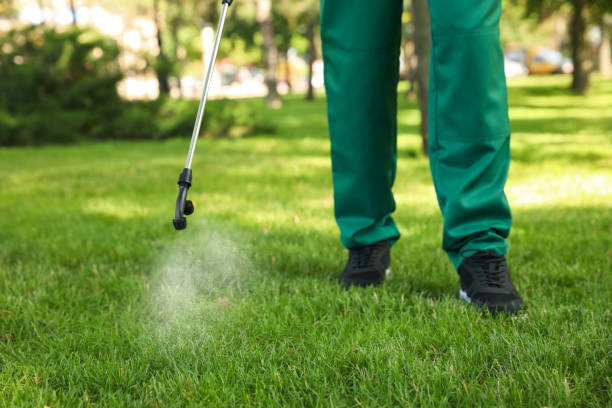 Pest Prevention Services in Inez, TX