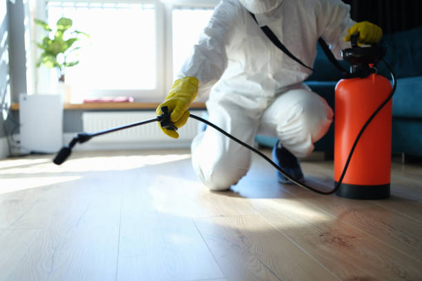 Best Pest Prevention Services  in Inez, TX