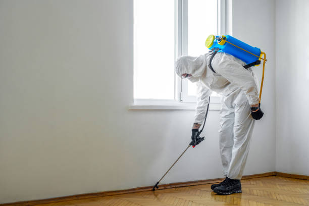Best Affordable Pest Control Services  in Inez, TX