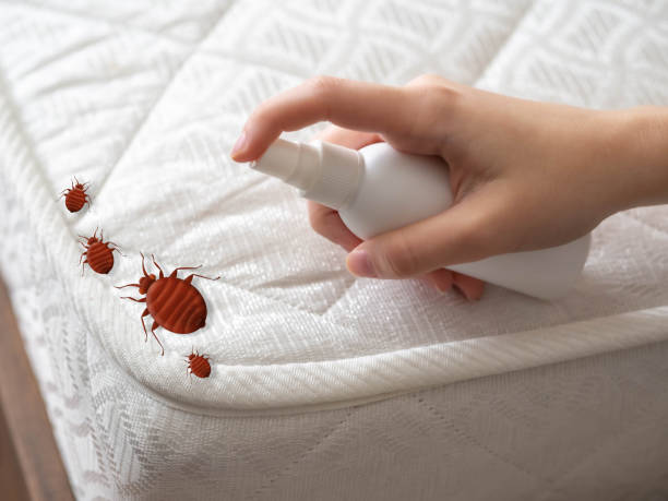 Best Pest Prevention Services  in Inez, TX