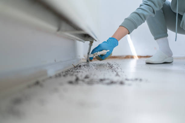 Best Pest Control for Businesses  in Inez, TX